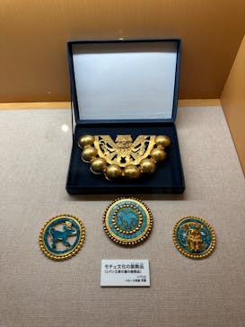 国立科学博物館に投稿された画像（2023/8/20）