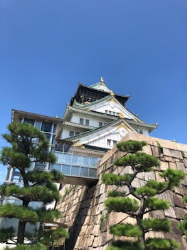 大阪城天守閣に投稿された画像（2023/8/20）