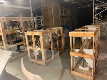 福井県立恐竜博物館に投稿された画像（2023/8/20）