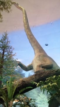 福井県立恐竜博物館に投稿された画像（2023/8/20）