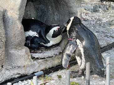 サンシャイン水族館に投稿された画像（2023/8/20）