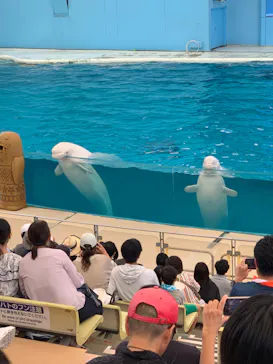 横浜・八景島シーパラダイスに投稿された画像（2023/8/20）