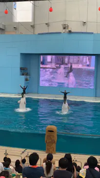 横浜・八景島シーパラダイスに投稿された画像（2023/8/20）