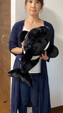 名古屋港水族館に投稿された画像（2023/8/20）