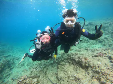 武藤潜水に投稿された画像（2023/8/20）