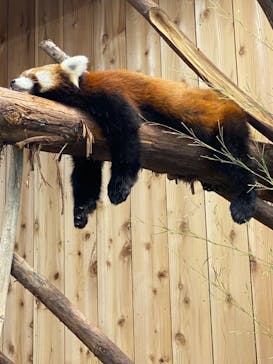 伊豆シャボテン動物公園に投稿された画像（2023/8/20）