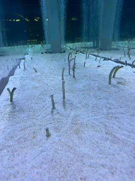 すみだ水族館に投稿された画像（2023/8/20）