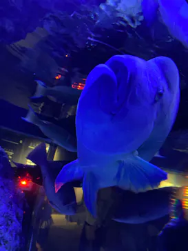 すみだ水族館に投稿された画像（2023/8/20）