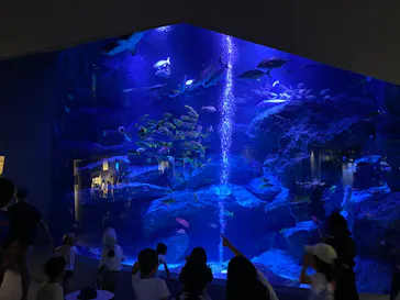 すみだ水族館に投稿された画像（2023/8/20）