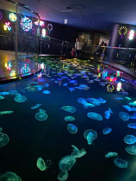 すみだ水族館に投稿された画像（2023/8/20）