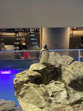 すみだ水族館に投稿された画像（2023/8/20）