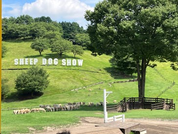 伊香保グリーン牧場に投稿された画像（2023/8/20）