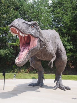 福井県立恐竜博物館に投稿された画像（2023/8/20）