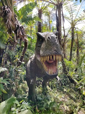 御菓子御殿　名護店　やんばる亜熱帯の森DINO恐竜PARKに投稿された画像（2023/8/20）