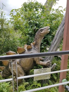 御菓子御殿　名護店　やんばる亜熱帯の森DINO恐竜PARKに投稿された画像（2023/8/20）