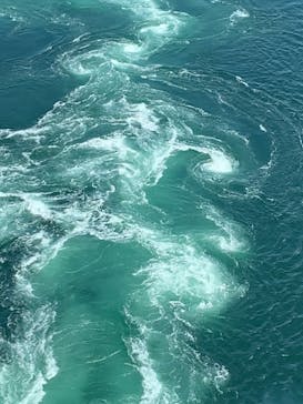 徳島県立 渦の道に投稿された画像（2023/8/20）