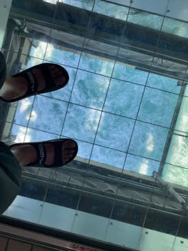 徳島県立 渦の道に投稿された画像（2023/8/20）