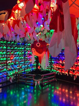 NARA KINGYO MUSEUMに投稿された画像（2023/8/20）