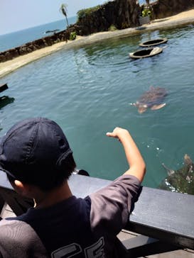 串本海中公園水族館に投稿された画像（2023/8/20）