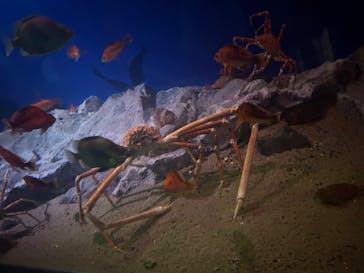 名古屋港水族館に投稿された画像（2023/8/20）