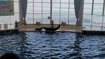アクアワールド茨城県大洗水族館に投稿された画像（2023/8/20）