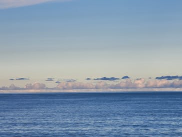 アクアワールド茨城県大洗水族館に投稿された画像（2023/8/20）