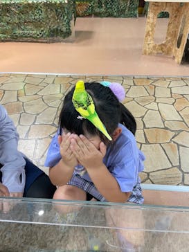 いきもの探検隊上尾に投稿された画像（2023/8/20）