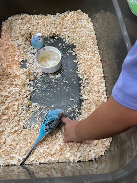 いきもの探検隊上尾に投稿された画像（2023/8/20）