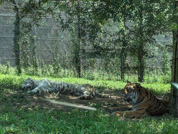 姫路セントラルパークに投稿された画像（2023/8/20）