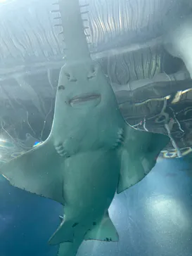 マクセル アクアパーク品川に投稿された画像（2023/8/20）