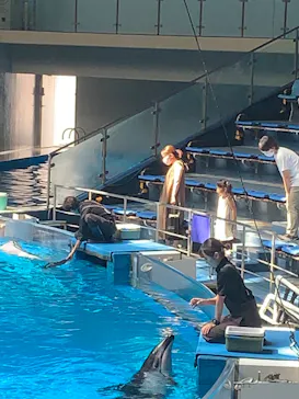 マクセル アクアパーク品川に投稿された画像（2023/8/20）