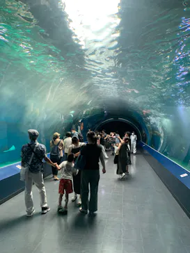 マクセル アクアパーク品川に投稿された画像（2023/8/20）