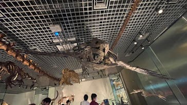 国立科学博物館に投稿された画像（2023/8/20）