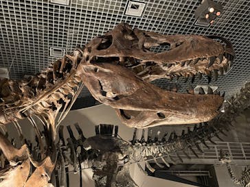 国立科学博物館に投稿された画像（2023/8/20）