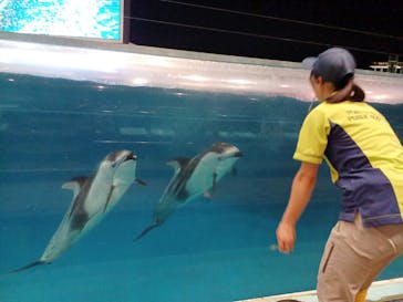 名古屋港水族館に投稿された画像（2023/8/20）
