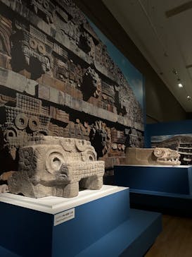 特別展「古代メキシコーマヤ、アステカ、テオティワカン」に投稿された画像（2023/8/20）