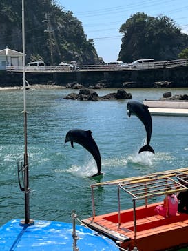 下田海中水族館に投稿された画像（2023/8/20）