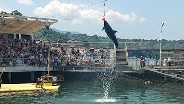 伊豆・三津シーパラダイスに投稿された画像（2023/8/20）