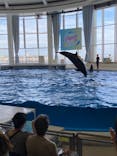 アクアワールド茨城県大洗水族館に投稿された画像（2023/8/20）