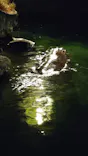 天王寺動物園に投稿された画像（2023/8/20）