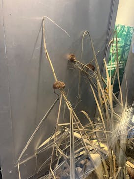 環境水族館アクアマリンふくしまに投稿された画像（2023/8/20）