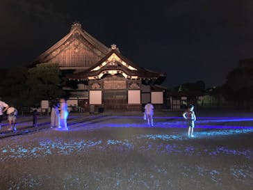 NAKED meets 二条城 2025 観月に投稿された画像（2023/8/20）