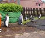 登別マリンパークニクスに投稿された画像（2023/8/20）