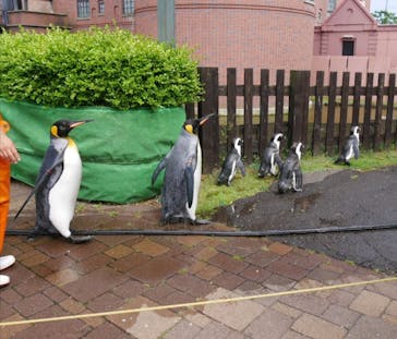 登別マリンパークニクスに投稿された画像（2023/8/20）