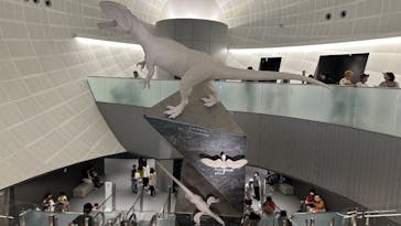 福井県立恐竜博物館に投稿された画像（2023/8/20）