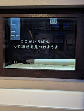 横浜開運水族館 フォーチュンアクアリウムに投稿された画像（2023/8/20）