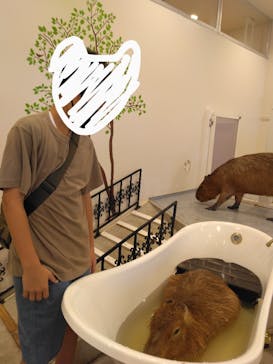 アニタッチみなとみらいに投稿された画像（2023/8/20）