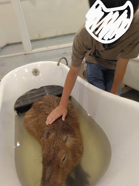 アニタッチみなとみらいに投稿された画像（2023/8/20）