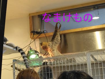 アニタッチみなとみらいに投稿された画像（2023/8/20）