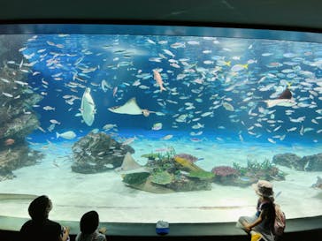 サンシャイン水族館に投稿された画像（2023/8/20）